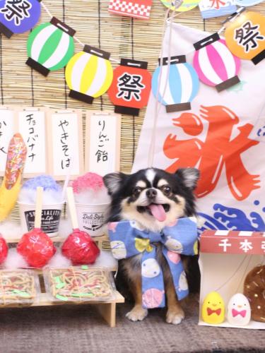 20240725ごまくん